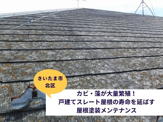 さいたま市北区でカビ・コケ・藻が大量繁殖！戸建てスレート屋根の寿命を延ばす屋根塗装メンテナンス