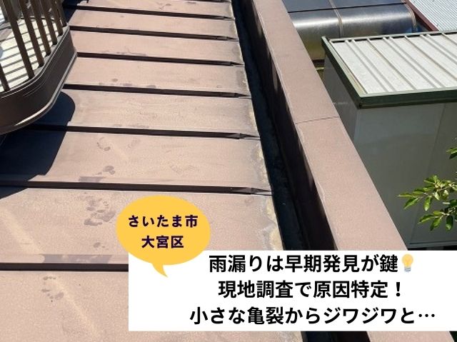 さいたま市大宮区雨漏り～現地調査