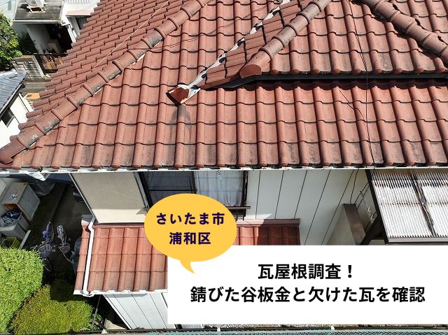 さいたま市浦和区葺き直し現地調査 (2)