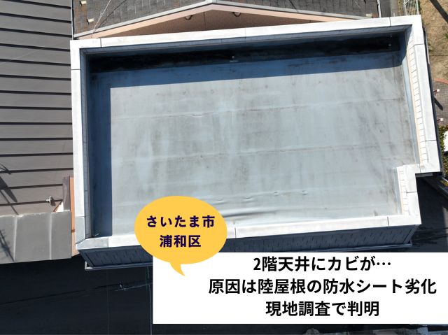 さいたま市浦和区「2階天井にカビが…」原因は陸屋根の防水シート劣化。現地調査で判明！