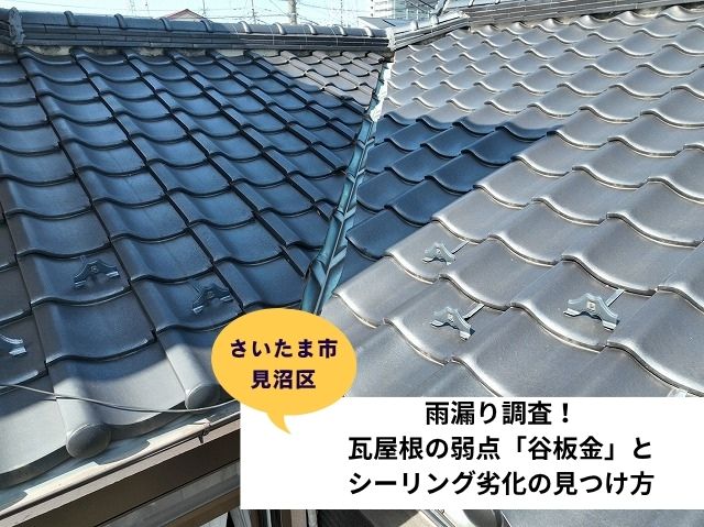 さいたま市見沼区瓦屋根雨漏り調査