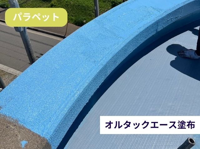 オルタックエース塗布