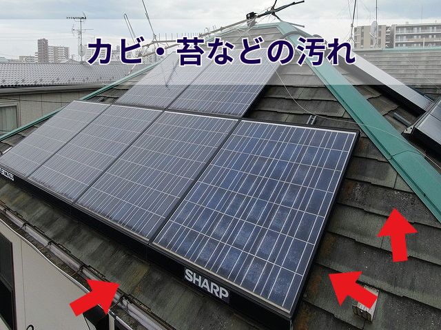 カビ・苔などの汚れ