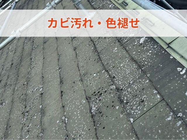 カビ汚れ・色褪せ