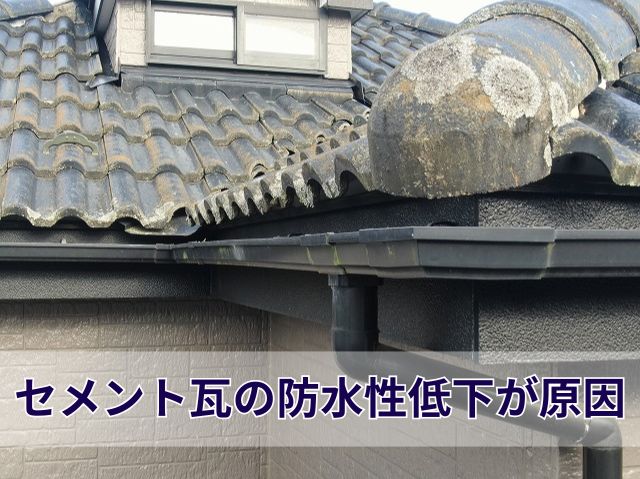 セメント瓦の防水性低下による退色