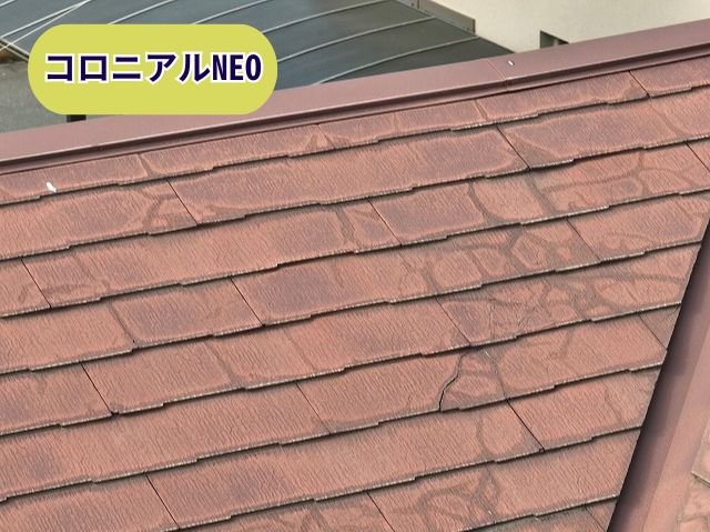 コロニアルNEO