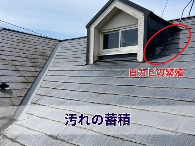 スレートの汚れ