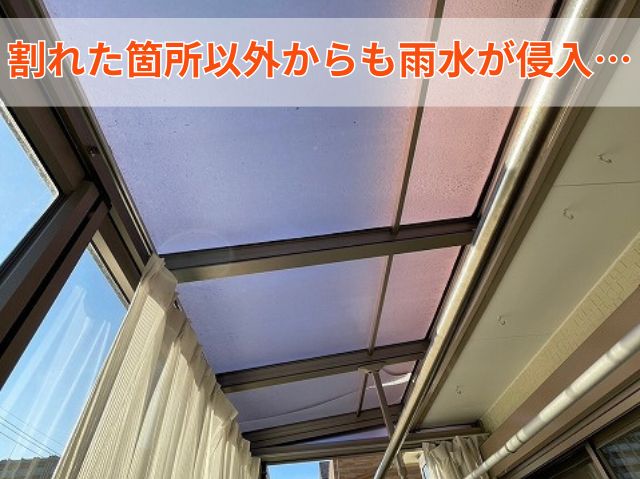 雨漏り　サンルーム
