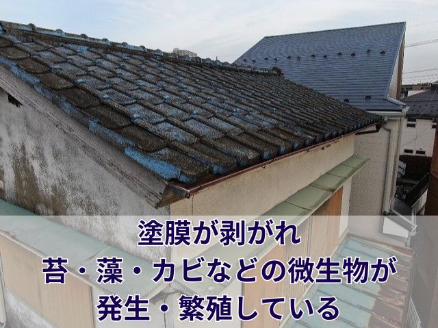 セメント瓦劣化