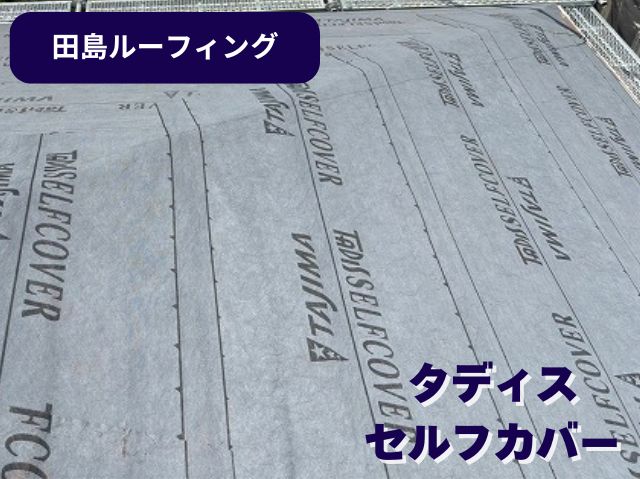 タディス セルフカバー