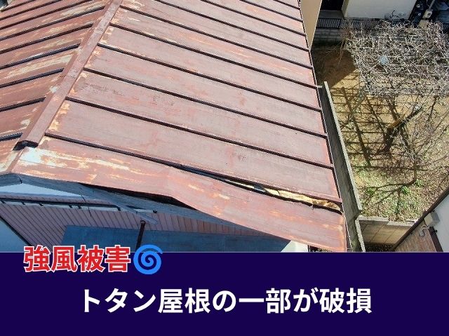 トタン屋根の一部が破損