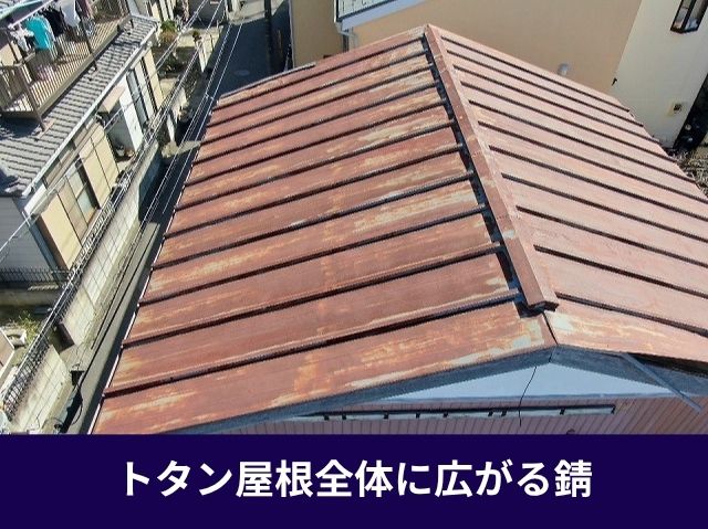 トタン屋根全体に広がる錆