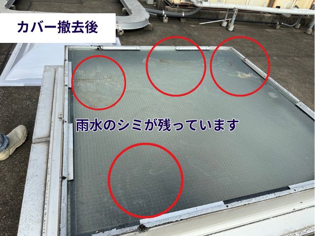 トップライトカバー撤去作業 (2)