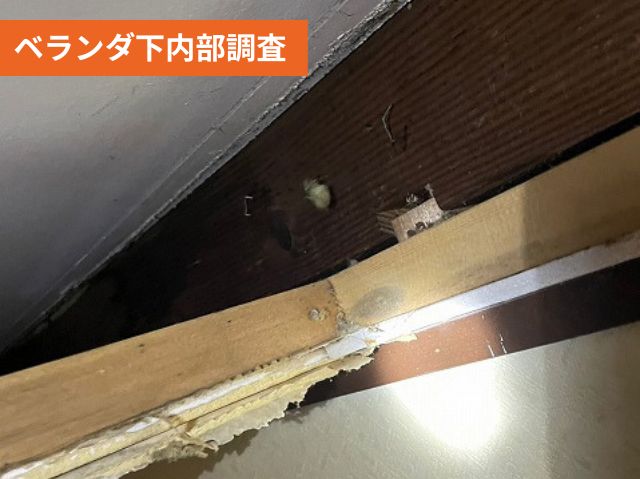 ベランダ下内部