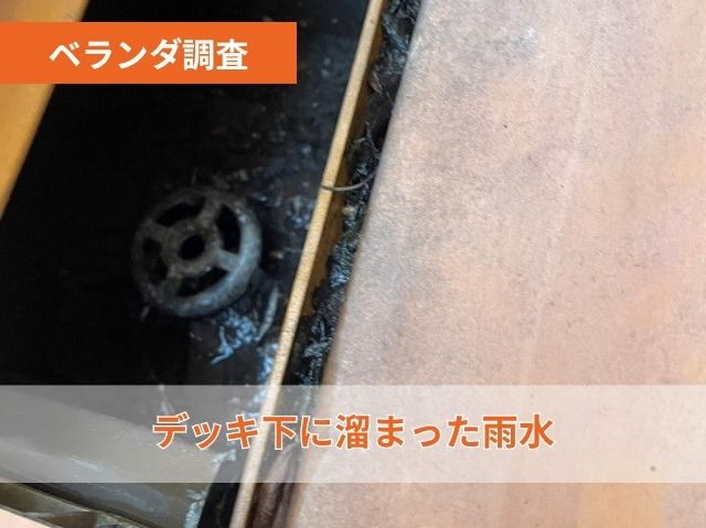 ベランダ調査