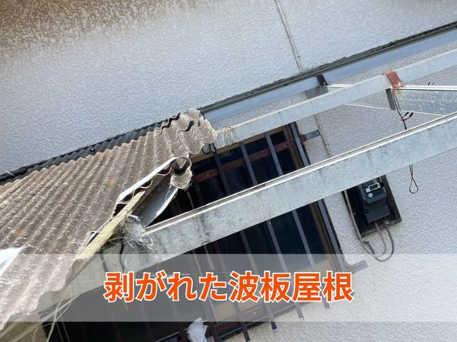 剥がれた波板屋根
