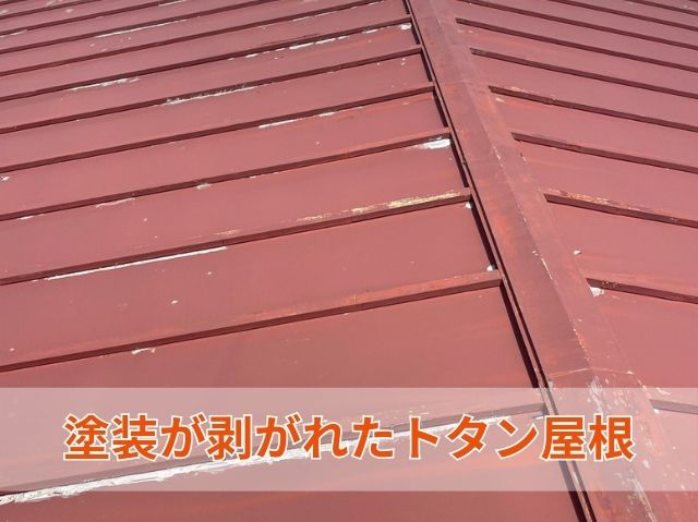 塗装が剥がれたトタン屋根