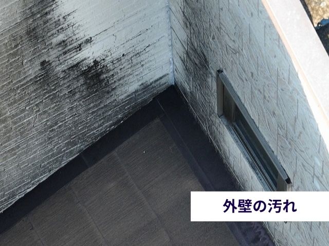 外壁の汚れ