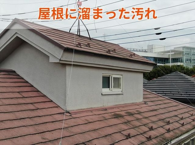 屋根に溜まった汚れ (2)