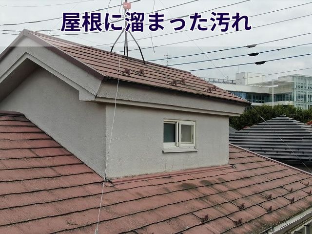 屋根に溜まった汚れ