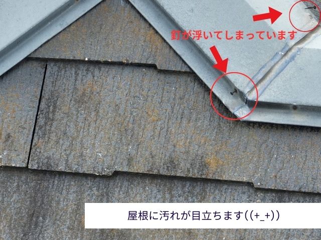 屋根の汚れ・釘浮き