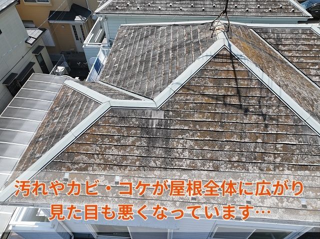 屋根全体