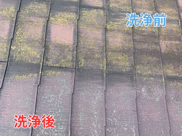 屋根洗浄前後 