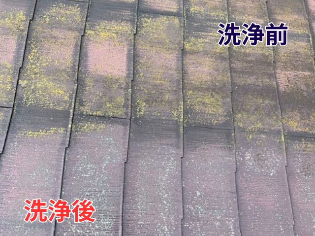 屋根洗浄前後