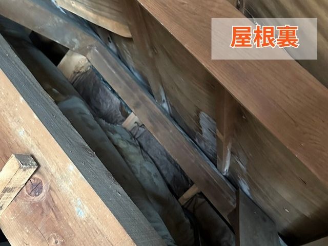 屋根裏