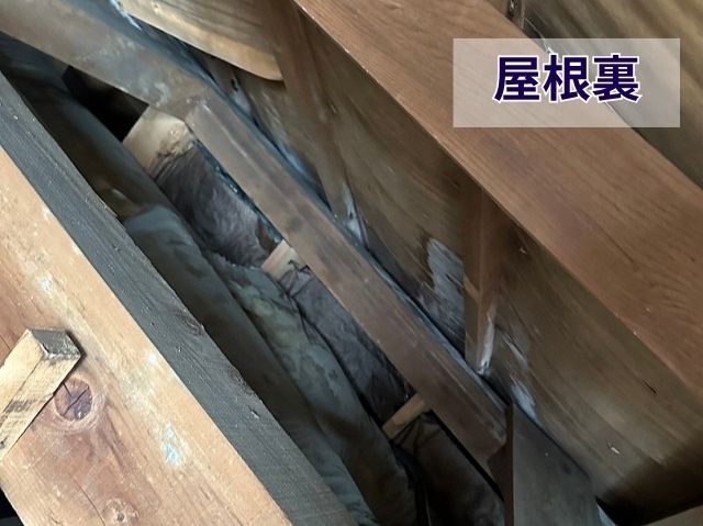 屋根裏