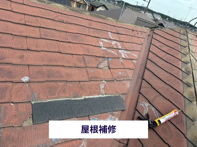屋根補修