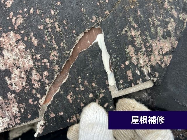 屋根補修