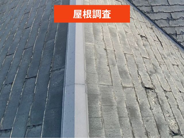 屋根調査