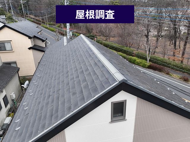 屋根調査