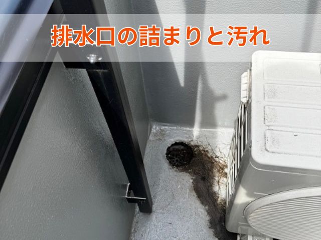 排水口の詰まりと汚れ