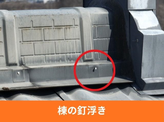 棟の釘浮き