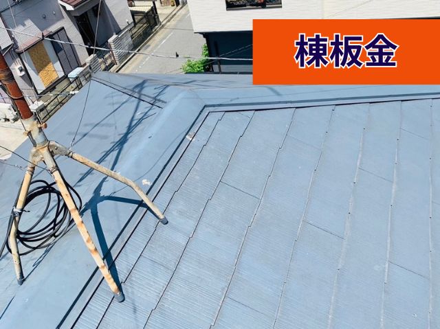 棟板金