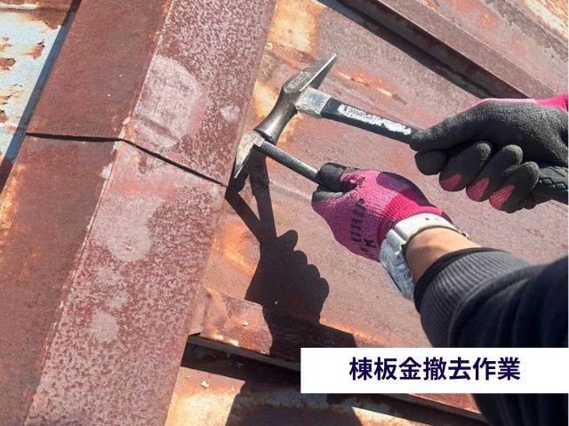 棟板金撤去作業