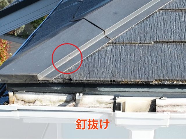 棟板金釘抜け