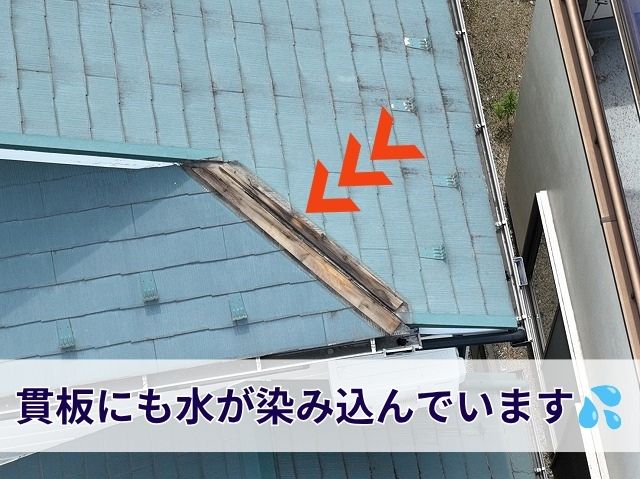 水が染み込んだ貫板