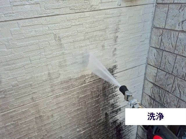 洗浄