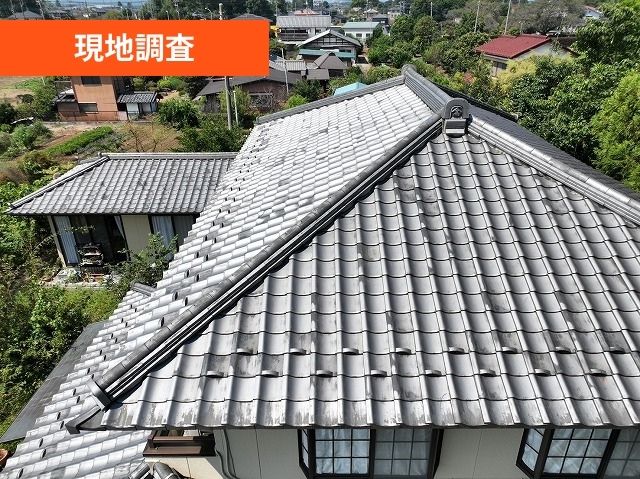 現地調査　