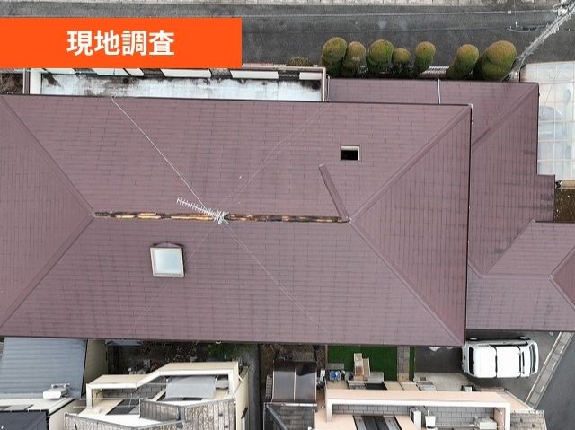 現地調査　