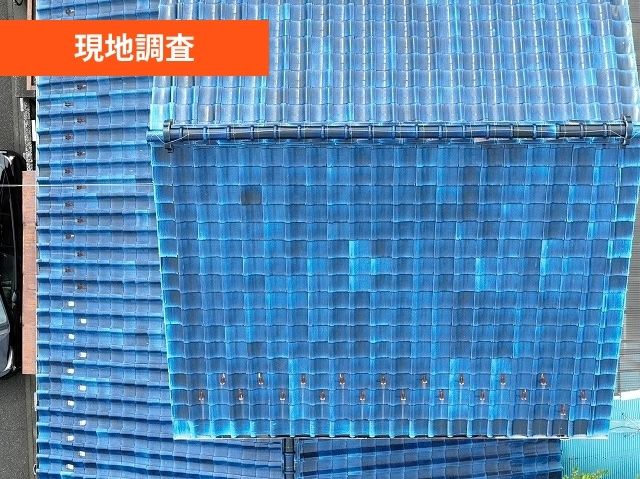 現地調査
