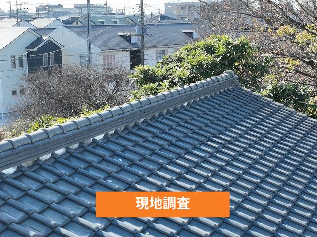 現地調査