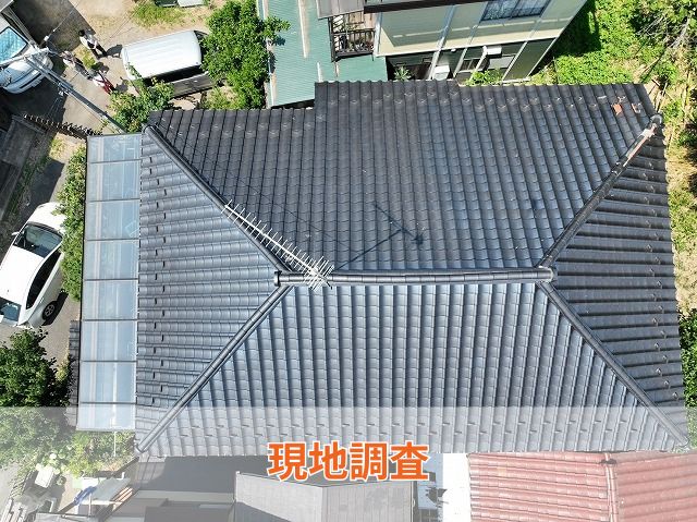 現地調査