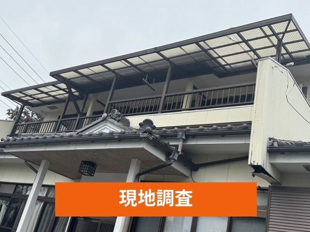 現地調査