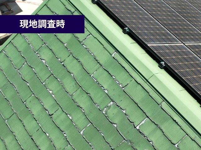 現地調査