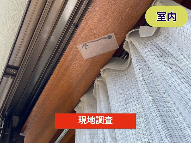 現地調査 (2)