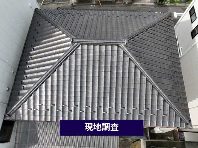 現地調査
